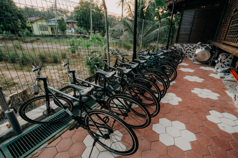 Bicycle & Motorcycle